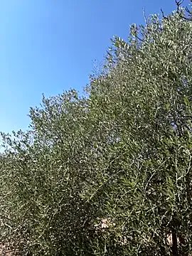 sexycouples35 model from sc