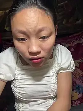 Shin-kin model from sc