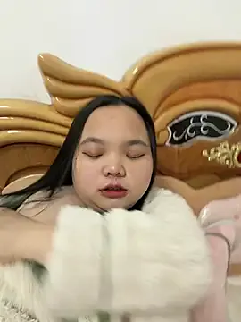 ShuTing23 model from sc