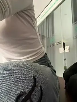 susin-beo model from sc