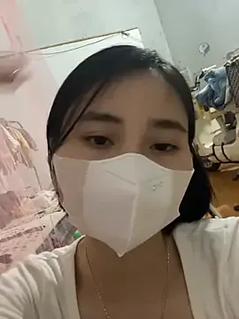 Zinsetka model from sc